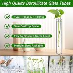 HUAOU 6pcs 100ml Borosilicate Glass Test Tubes