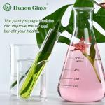 HUAOU 6pcs 100ml Borosilicate Glass Test Tubes