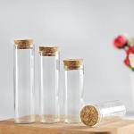 10 Pack Clear Glass Test Tubes with Cork Stoppers