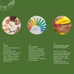 50% Sodium Hydroxide (Caustic Soda) – 1 Gallon