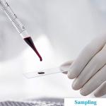 5PCS Graduated Glass Dropper Pipettes with Caps