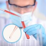 1500 Disposable 3ML Plastic Transfer Pipettes