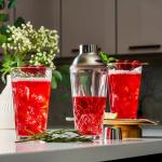 Professional Glass Cocktail Shaker Set, 16oz