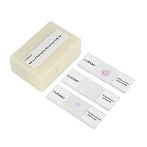 Bacterial Pathogens Microscope Slide Set, 12 pcs