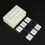 Bacterial Pathogens Microscope Slide Set, 12 pcs