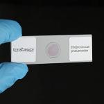 Bacterial Pathogens Microscope Slide Set, 12 pcs