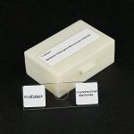 Bacterial Pathogens Microscope Slide Set, 12 pcs