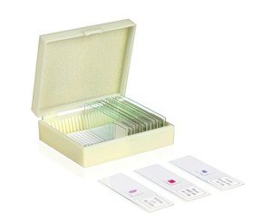 Vision Scientific Human Physiology Microscope Slide Set