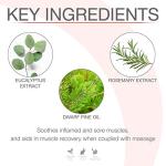 Bon Vital' Muscle Therapy Massage Creme - 5 Gallon