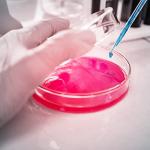 Stonylab 100mm Glass Petri Dish with Lid