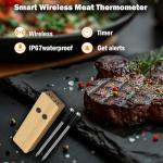 Wireless Smart Meat Thermometer with 2 Probes