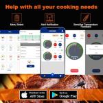 Wireless Smart Meat Thermometer with 2 Probes