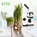 3-Piece Low Form Glass Beaker Set