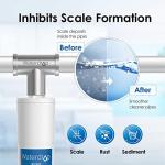 Waterdrop AP431 Whole House Scale Inhibitor Filter