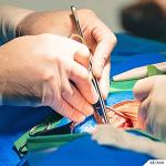 DEXSUR Premium Rust-Proof Scalpel Handle #6