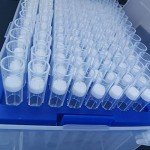 Universal 1000µL Filtering Pipette Tips - 960 Pack