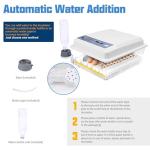 Automatic Egg Incubator with Humidity Control, 36 Eggs