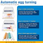 Automatic Egg Incubator with Humidity Control, 36 Eggs