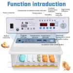 Automatic Egg Incubator with Humidity Control, 36 Eggs