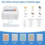 Automatic Egg Incubator with Humidity Control, 36 Eggs