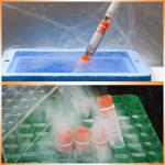 81Pcs 2ml Plastic Cryo Tubes with Screw Caps