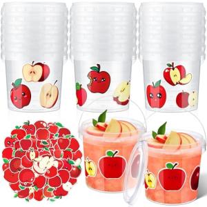 32 oz Clear Plastic Ice Cream Buckets with Lids