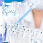 200 PCS 3ml Disposable Pipettes for Labs & Crafts