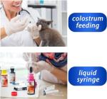 20 Pack 3mL Plastic Syringes with Tip Caps