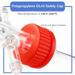 250mL Glass Gas Washing Bottle with Adjustable Immersion