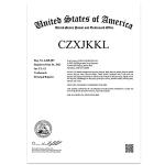 10ML Clear Disposable Graduated Transfer Pipettes (100 Pack)