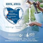 Replacement Water Filter for PUR® Faucet Systems