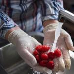 Large Powder-Free Latex Gloves, 100 Count