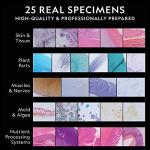 National Geographic Mega Biology Set with Microscope Slides