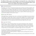 VBR-Aqua IP68 PAR Meter with Telescopic Rod