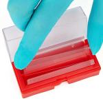 Globe Scientific Cover Glass, 24x60mm, Case of 10