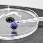 120pcs 0.5ml Plastic Disposable Pipettes Dropper