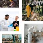 Anti-Fog Safety Glasses with Adjustable Frame (Pink)