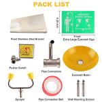 Wall-Mounted Emergency Eye Wash Station