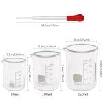 Glass Graduated Cylinder and Beaker Set with Droppers
