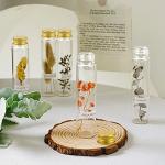 Clear Plastic Test Tubes with Caps - 36 Pack