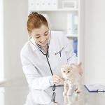 Custom Embroidered Women's Lab Coat with Pockets