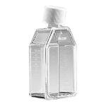 Falcon Polystyrene Cell Culture Flask, 250mL, Case of 60