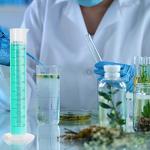 500ml Plastic Graduated Cylinder Set - 4 Pack