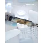 Albino PE Mycelium Syringes - 10 ml Liquid Culture