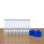 Large Plastic Test Tubes with Caps - 15 Pack