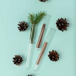 250 Clear Plastic Test Tubes with Caps - 16 x 100 mm