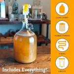 1 Gallon Glass Fermenter Jug with Airlock