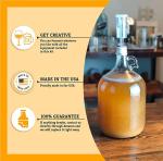 1 Gallon Glass Fermenter Jug with Airlock