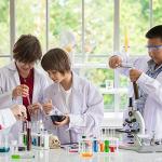 2-Pack Glass Eye Droppers with Rubber Bulbs