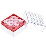 Centrifuge Tube Storage Box for 25 Tubes